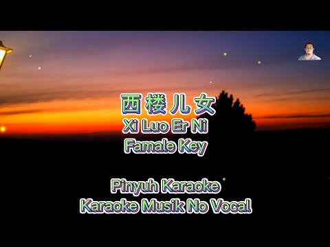 Xi Lou er Nu - 西楼儿女 (Electro Manyao) By Dj Brian Bie #dj抖音版2023 #remixmanyao