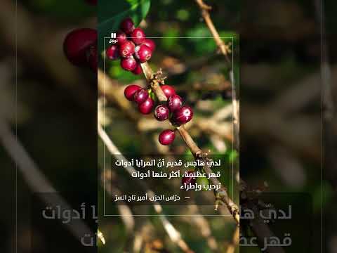 المرايا أدوات قهر عظيمة