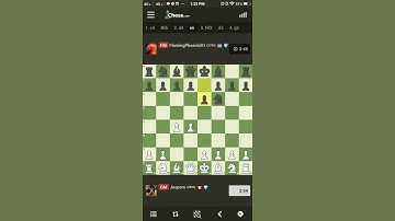 One of the quickest game in chess - black resigned