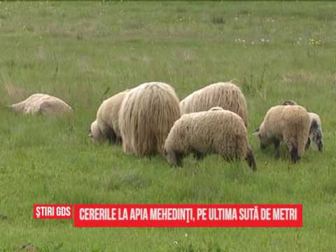 Cererile la APIA Mehedinţi, pe ultima sută de metri