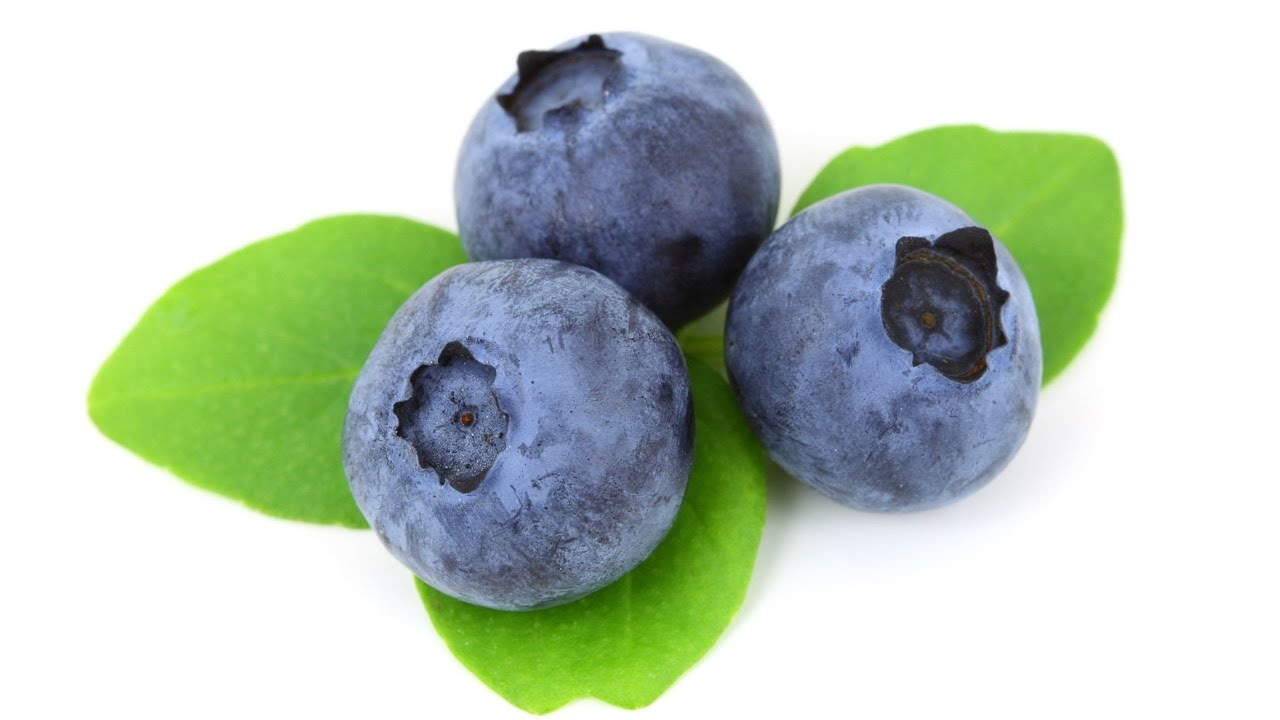 Eat Blueberries Awesome Superfood Health Benefits YouTube