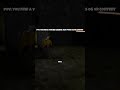 #gorillatag #vyral #gaming #scarry #vr #funny #giveaway #ac #freethings #animalcompany