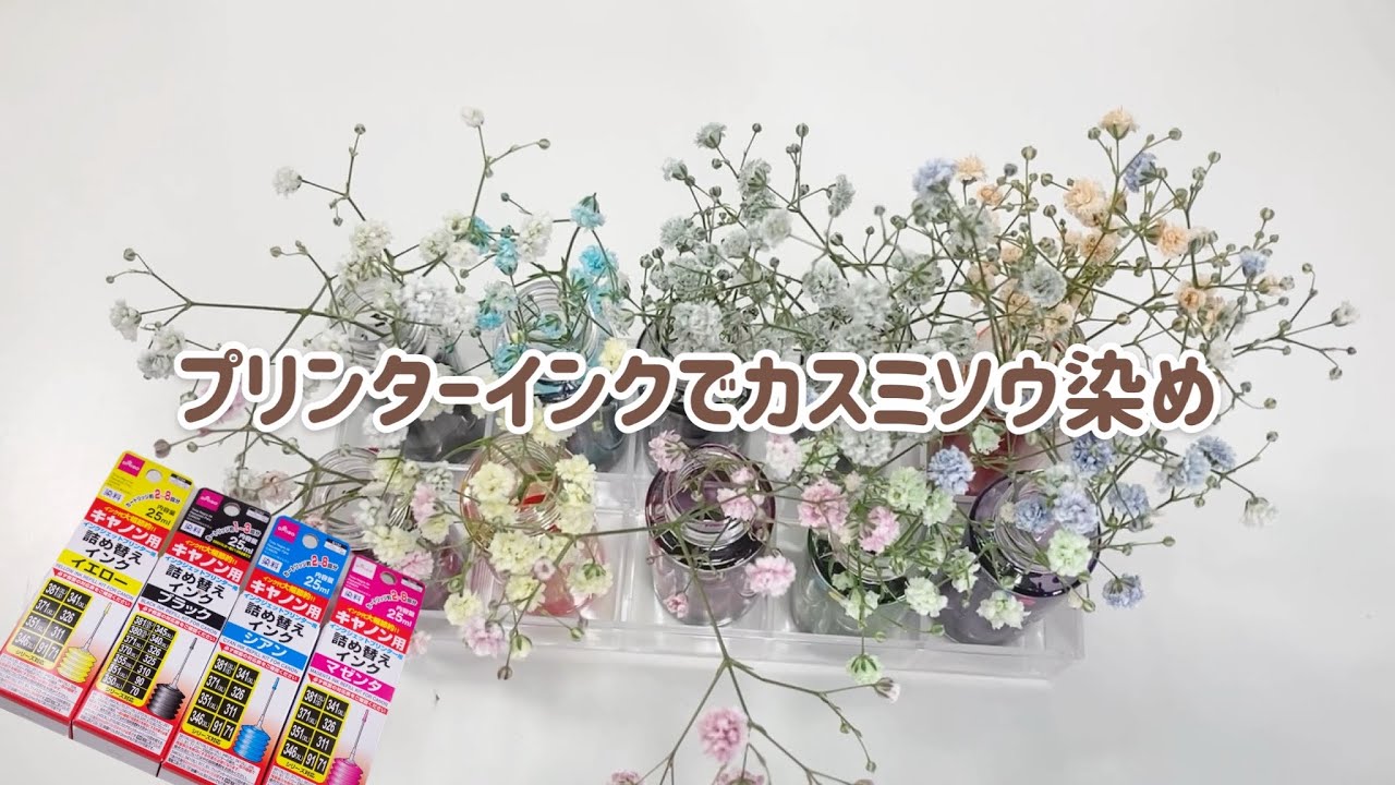 プリンターインクでかすみ草を染めました Youtube