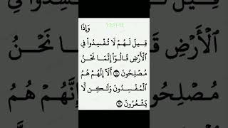 Quran translation in Punjabi para 1 surah 2 ayat 11-12 Surah Baqarah#Quran #punjabi #translation screenshot 4