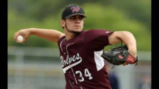 2014 PR Varsity Baseball Spring & Summer Playoff Tribute