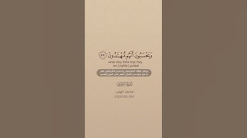 QURAN TRANSLATION - SURAH AL-ZUKHRUF (36-39) - تلاوة وترجمة القرآن - سورة الزخرف - محمد أيوب