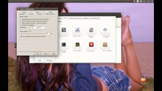 Audiosurf Linux/Ubuntu Installation