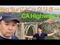 Big Sur/California Highway 1/自然いっぱいのビッグサーに行ってみた。ビッグサーにビックリさー(#19)