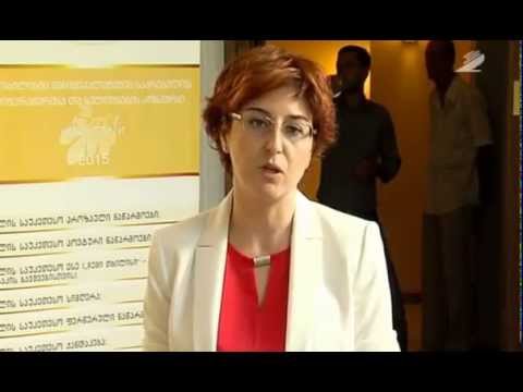 ხათუნა სამნიძე მირზა შაფის პროექტთან დაკავშირებით