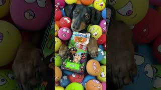 Crusoe's Squeaky Ball POP - A Fun, Challenging Puzzle Game! screenshot 2