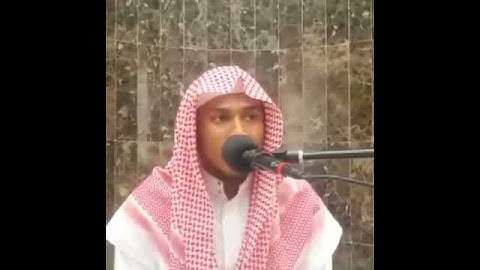 القارئ :عبدالعزيز انور