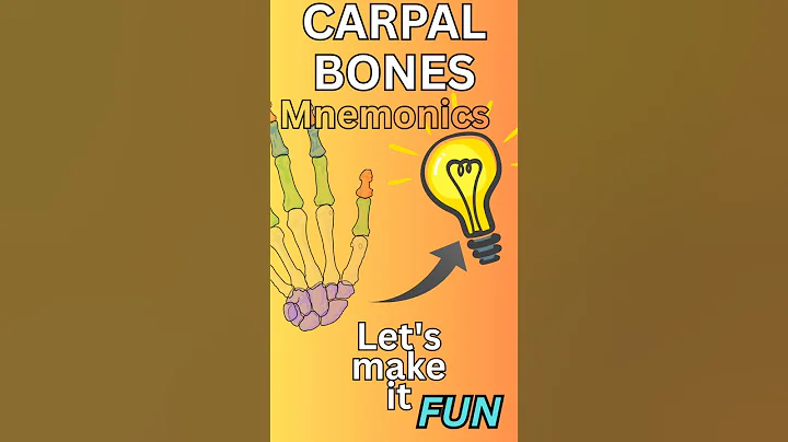 CARPAL BONES mnemonics #bones #easy memorise #mbbs #anatomy #medstudent