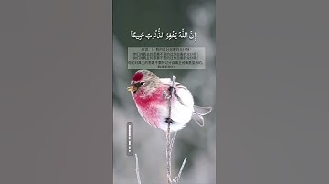#قران_كريم #قراءة #تلاوة_خاشعة #قرأن قران#تلاوات #سورة #تلاوت #تلاوة_هادئة #قرآني #القران_الكريم