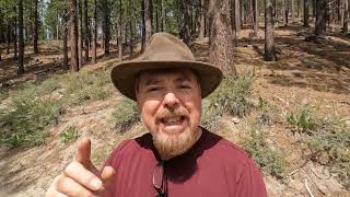 Where to Find Gold in California, Nevada, and Arizona - Guaranteed