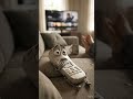 sad stories behind these objects @Shorts #shorts #ai #animation #story  #aivista #cartoon #hear