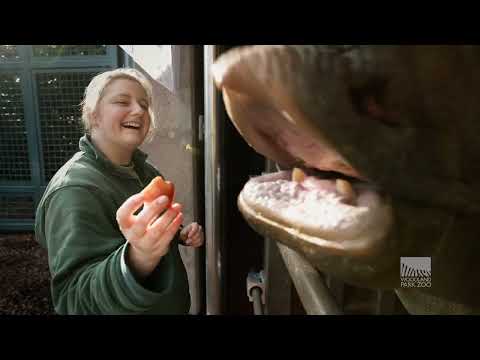 It's Time to Visit Woodland Park Zoo