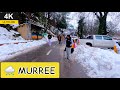 Murree to islamabad winter road trip  4k pakistan 