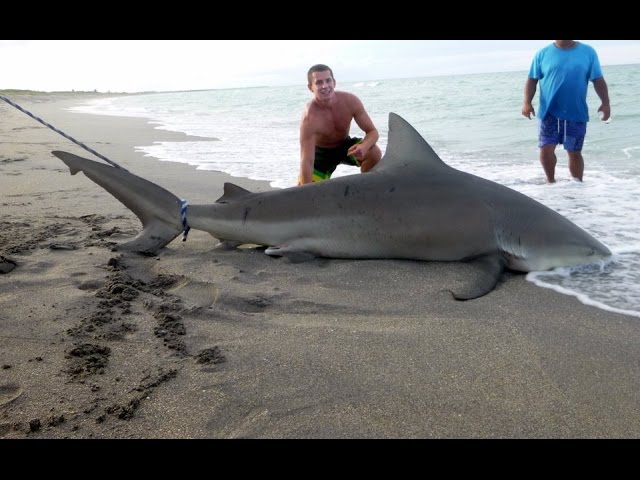 Ayol onanizm qiladi va siydi Sport zali porno video onlayn