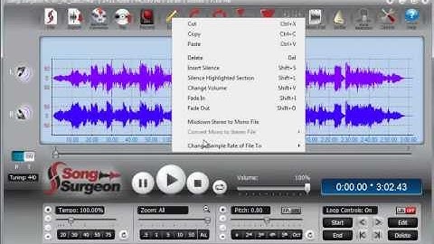 Training Video: Audio sample rate or frequency conversion - Song Surgeon