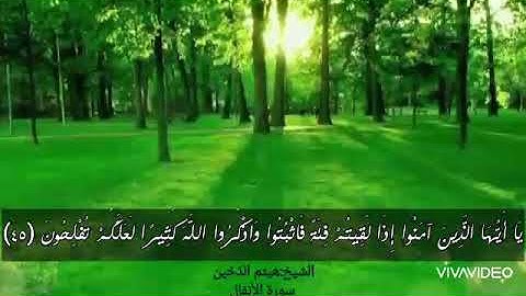 آيات من سورة الأنفال (الشيخ: هيثم الدُخين)