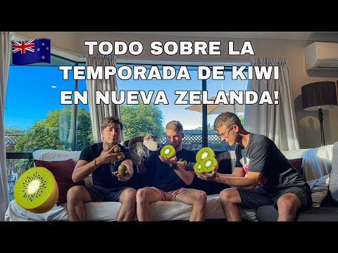 Vídeo: Cómo Hablar Como Un Kiwi [VID] - Matador Network