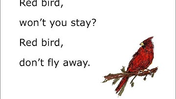 Red Bird - Presentation Kit excerpt