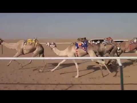 الفايزة للسيد محمد بن خريص القحطاني