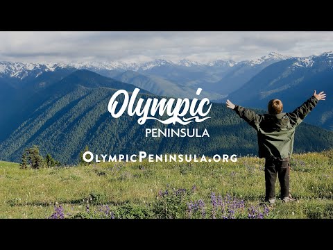 Olympic Peninsula Craigslist: Your Next Project Awaits