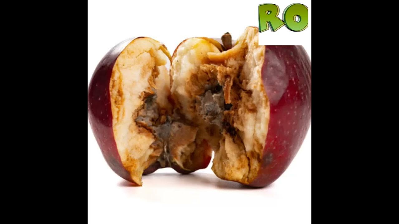 Фузариозная гниль картофеля. Как выглядит гнилая кровь. Стейк текстура. Протухшее мясо с червями. Гниющий кусок.