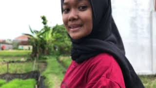 [PRAKTIKUM EKOSPER ACARA 5] Pengamatan Ekosistem Sawah di Caturtunggal, Sleman