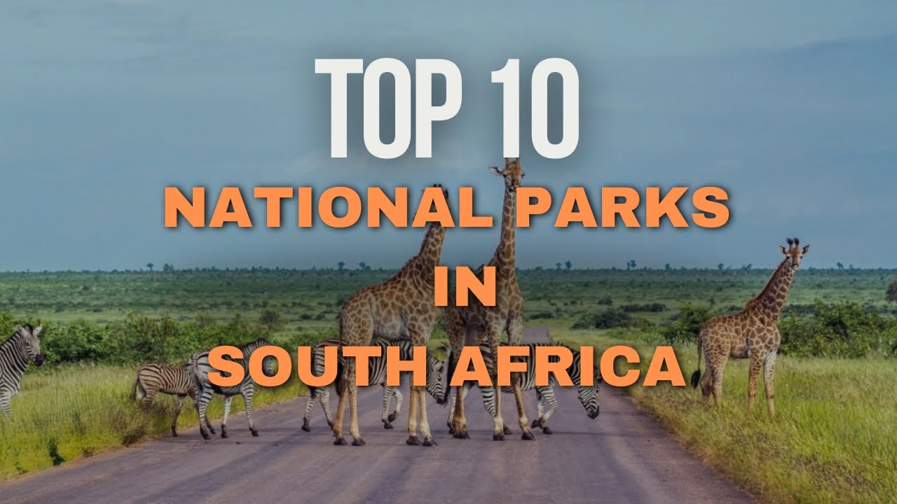 Топ-10 национальных парков Южной Африки | Лучшие места для наблюдения за дикой природой и любован...