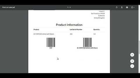 Lot/Serial Number Dynamic Label Odoo
