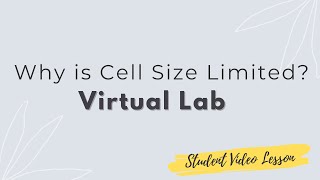 Why is Cell Size Limted?