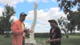Human Spine, Burlington, Iowa, Travel USA, Mr. Peacock & Friends, Hidden Treasures