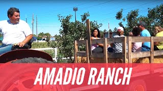 Amadio Ranch | Final Peach Season Farmers Market