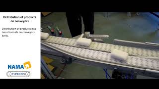 Product Distribution on conveyor _ Flexkon _ Nama