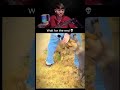 You laugh you lose 🤣| part 81 #funny #trending #comedy #ytshorts #entertainment #viral #memes