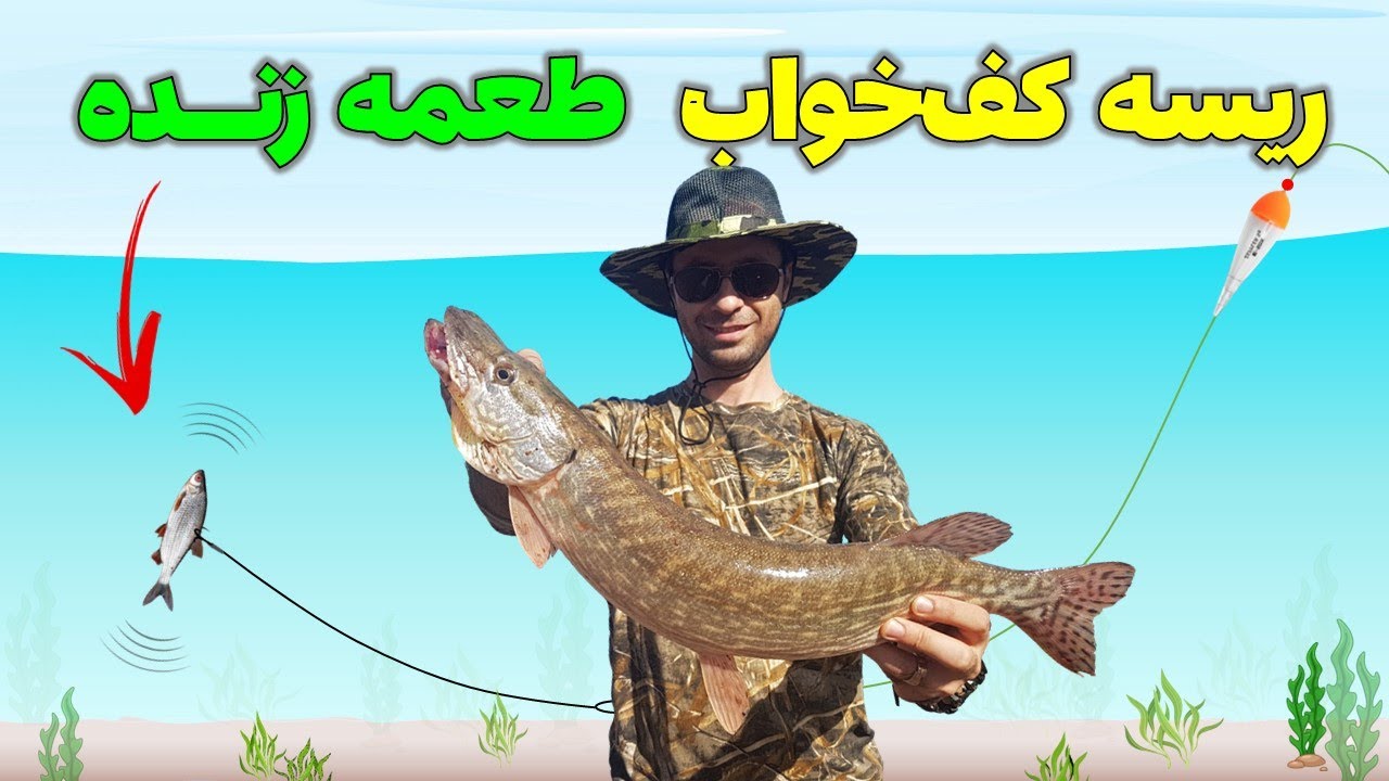 آموزش ریسه انتظاری کف‌خواب با طعمه زنده برای صید اردک‌ماهی