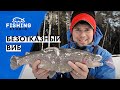 БЕЗОТКАЗНЫЙ ВИБ для пассивной рыбы | Зимняя рыбалка | ВихровLIFE