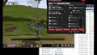 Damage hack + MultiBot + LevelBot - 01.01.2012