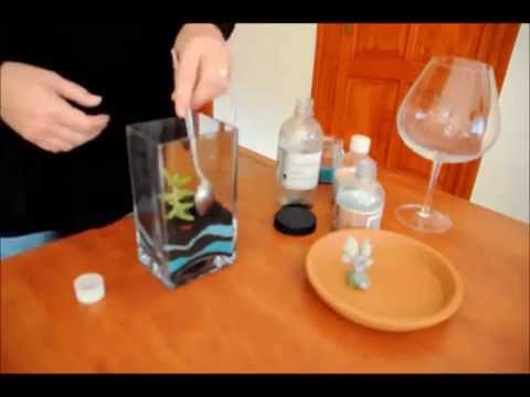Videó: Hogyan Készítsünk Asztali Gombokat