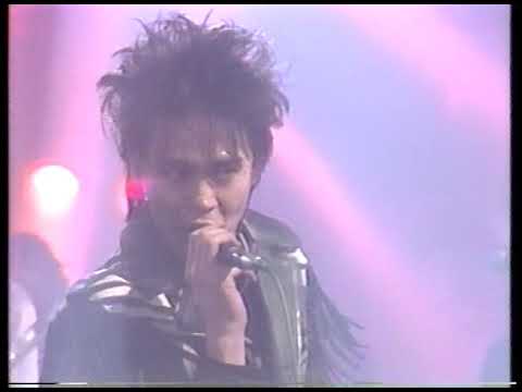 MERRY X'MAS SHOW 1986  LET'S SPEND THE NIGHT TOGETHER ロッケストラ