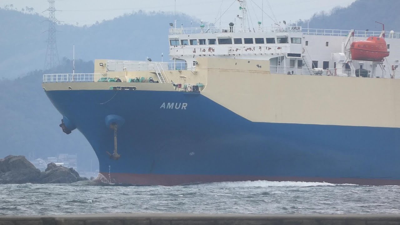 Vehicles Carrier Ship AMUR 元 豊昇丸 第二新宝丸 トヨフジ海運 Previous CHANG NING ? 舞鶴湾 RORO Ship
