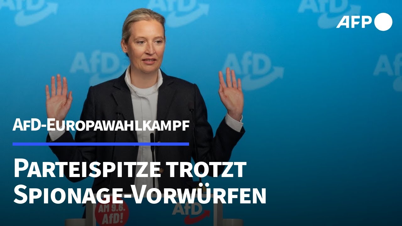 AfD Europawahlkampf Parteispitze und Anhnger trotzen Vorwrfen  AFP