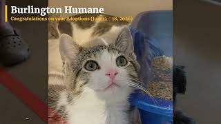 Congratulations on your Adoptions July 12 18, 2026