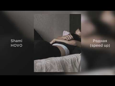 Shami x Hovo - Родная |