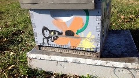 Simple DIY hive mouse guard