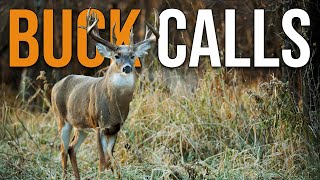 Proven Tactics for Calling During the Rut