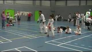 Tang Soo Do, Fabio loopvorm nr 4 Pyung Ahn Cho Dan VELO Ryu Ha