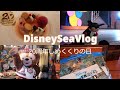 23回目のひとりディズニーシーvlog（ベッラヴィスタ・ラウンジのランチコース、ザンビーニ・ブラザーズ・リストランテの冷製パスタ）